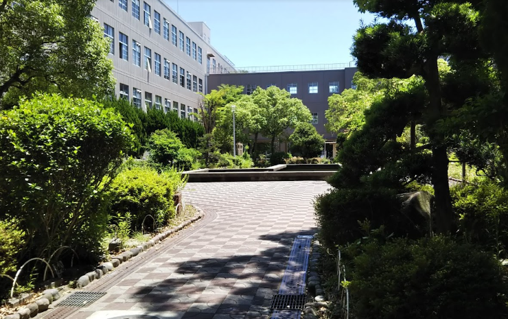 学校